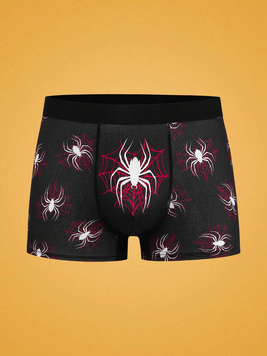//img.ltwebstatic.com/v4/j/pi/2026/06/12/2c/178125301725ad2e1129fdd45696260e0ed7658a42_thumbnail_900x.webp