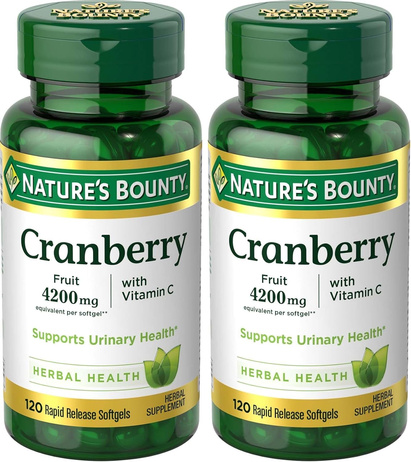 https://m.media-amazon.com/images/I/71L6FtNTXOL._AC_SL1500_.jpg